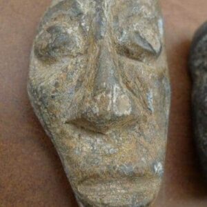 FOSSILIZEDWOOD&#mmPLANTFOSSILSFossilOrganicPrehistoricPlantMASK