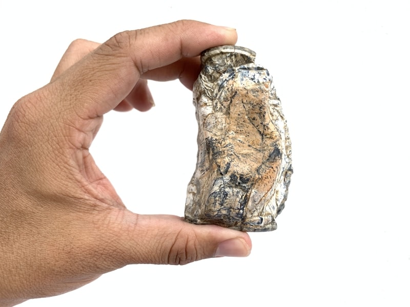 RARE Stegodon Mammoth Fossil Teeth Tooth remain Dinosaur RARE Stegodon Mammoth Fossil Teeth Tooth remain Dinosaur