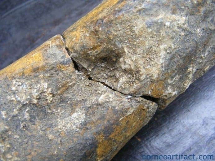 ancient fossil 350mm mega size bone stegodon no dinosaur megalodon fossils relic ANCIENTFOSSILmmMEGASIZEBONEStegodonNoDinosaurMegalodonFossilsRelic