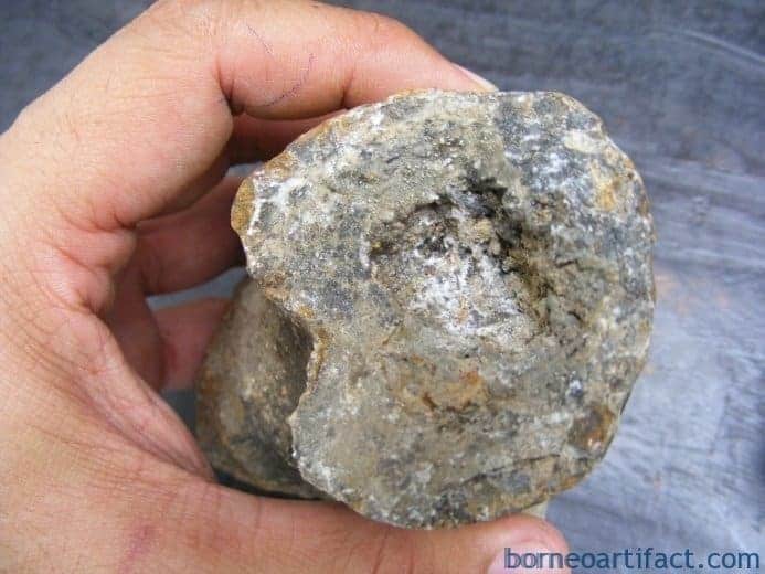 ancient fossil 350mm mega size bone stegodon no dinosaur megalodon fossils relic ANCIENTFOSSILmmMEGASIZEBONEStegodonNoDinosaurMegalodonFossilsRelic