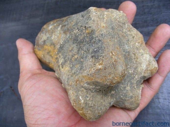 ancient fossil 350mm mega size bone stegodon no dinosaur megalodon fossils relic ANCIENTFOSSILmmMEGASIZEBONEStegodonNoDinosaurMegalodonFossilsRelic