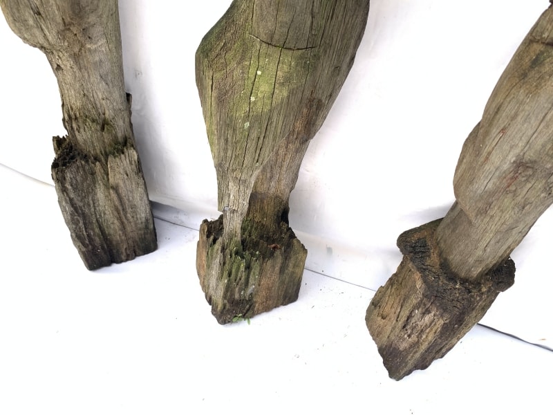 THREE WEATHERED DAYAK GUARDIAN primitive sculpture Antique Artifact Figure Icon THREE WEATHERED DAYAK GUARDIAN primitive sculpture Antique Artifact Figure Icon