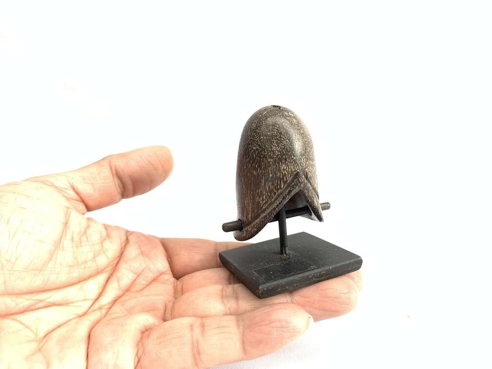 PENIS PIERCINGS Genital Extreme Piercing 55mm Palang Ampallang Tribal Orgasm Tattoo Body Borneo PENIS PIERCINGS Genital Extreme Piercing 55mm Palang Ampallang Tribal Orgasm Tattoo Body Borneo